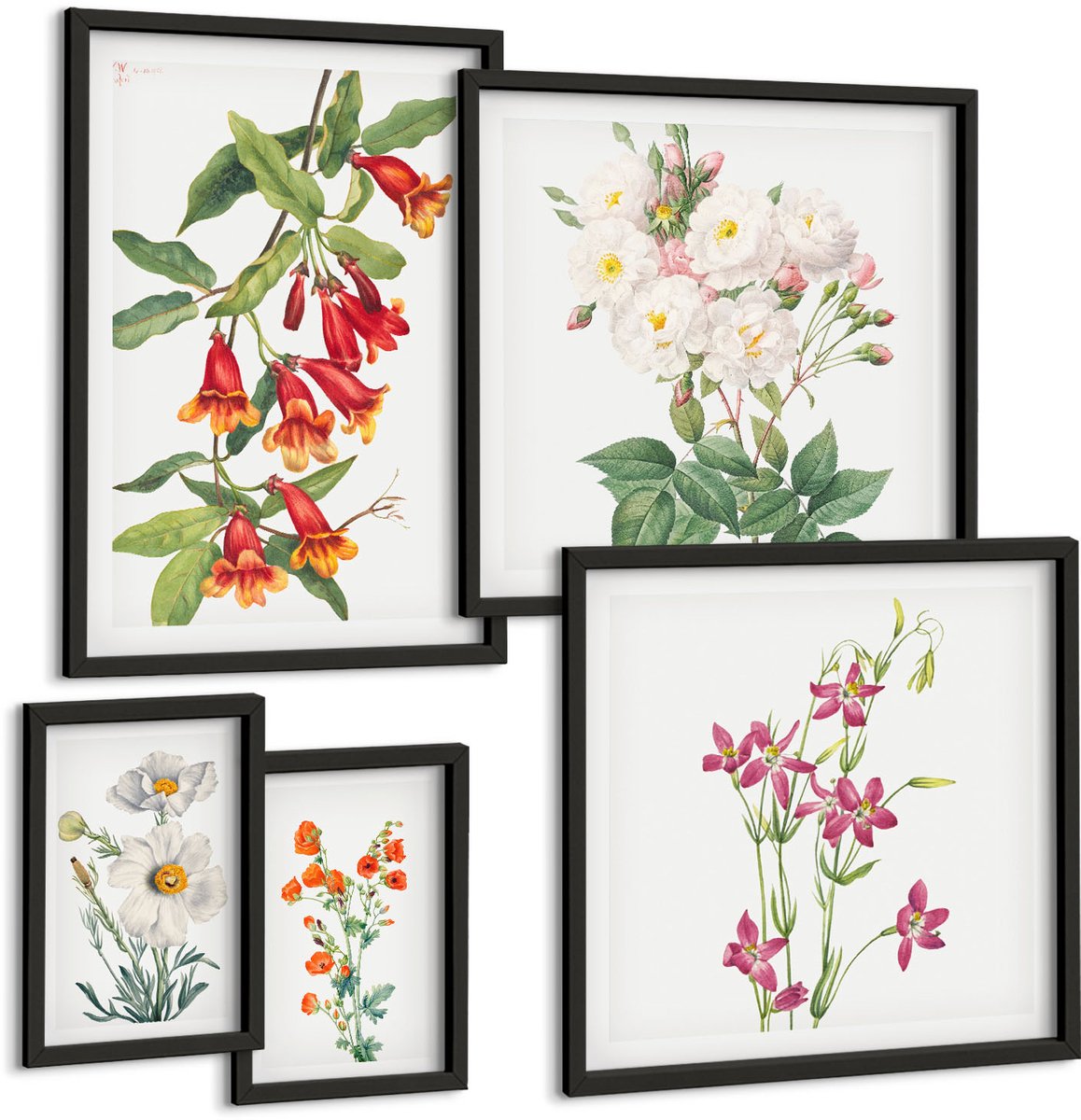 Tulup 4-Delige Schilderij Set - Bloemmotieven in botanische stijl op canvas - 50 x 50 cm, 20 x 30 cm en 40 x 60 cm - Decoratieve Schilderijen - Wanddecoratie - Hal - Woonkamer Decoratie