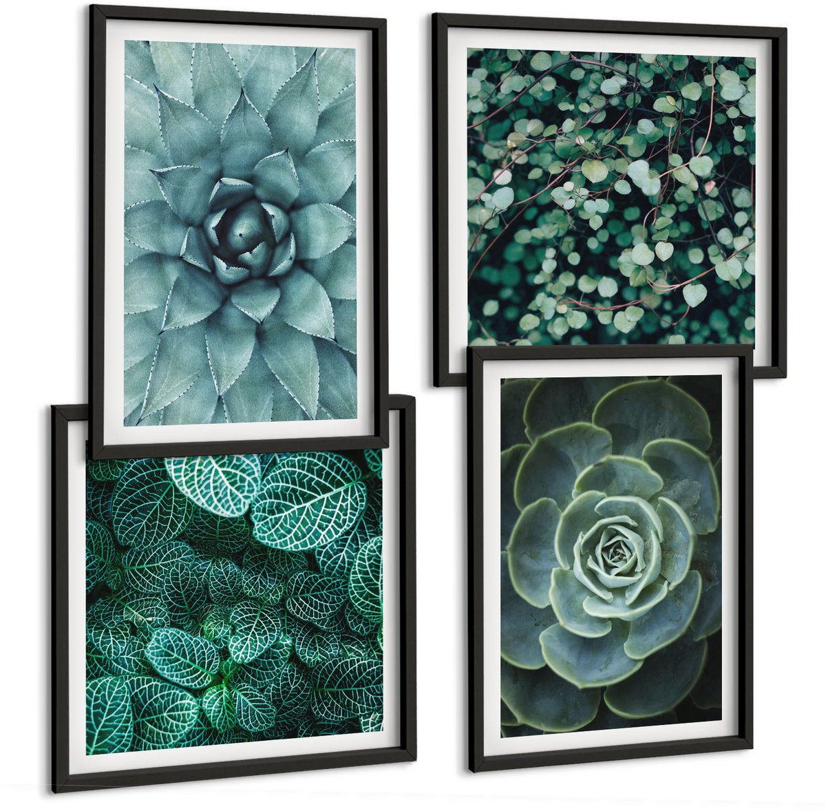 Tulup 4-Delige Schilderij Set - Vetplanten in groene en turquoise tinten. - 40 x 40 cm en 40 x 60 cm - Decoratieve Schilderijen - Woonkamer - Interieur - Wanddecoratie