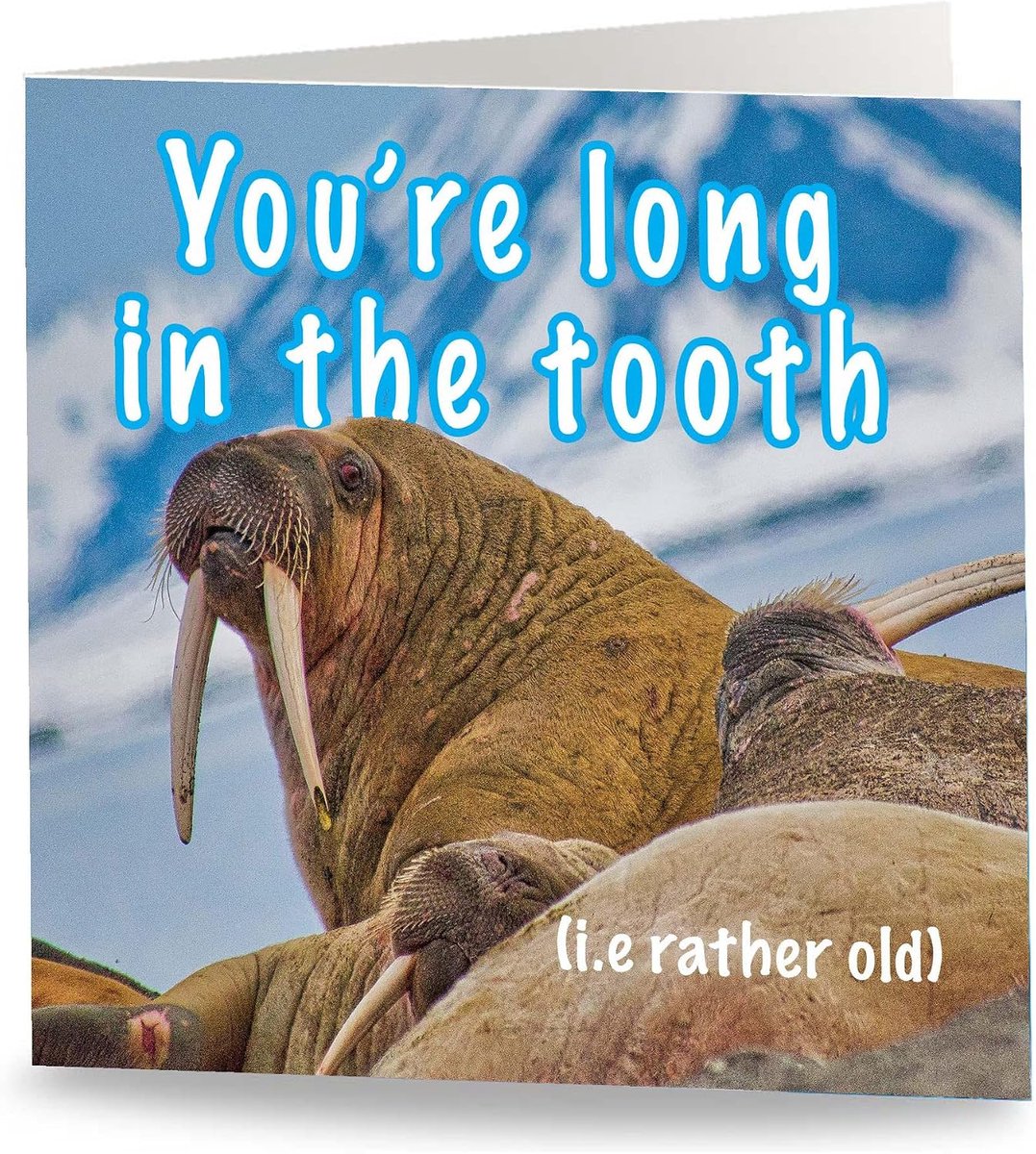 Maturi Long in the tooth Funny greeting card - Blank Inside - ShopVlot