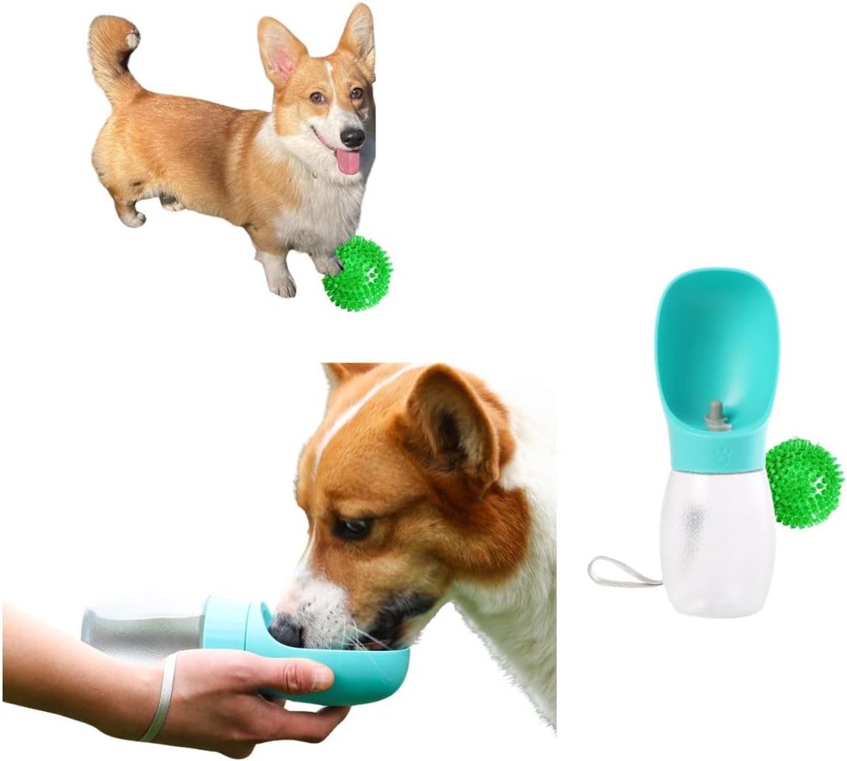 Small Green Dog Water Bottle 350ML with 1 Beepball for Dogs - ShopVlot