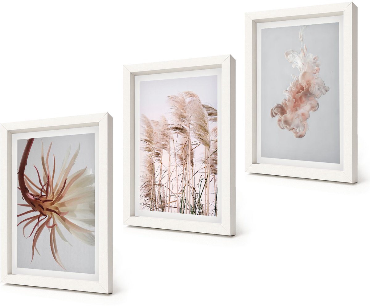 Coloray 3-Delige Schilderij Set - Bloemen en grassen op een lichte achtergrond in een harmonieus geheel. - 20x30 - Wanddecoratie - Woonkamer Decoratie - Moderne Wanddecoratie