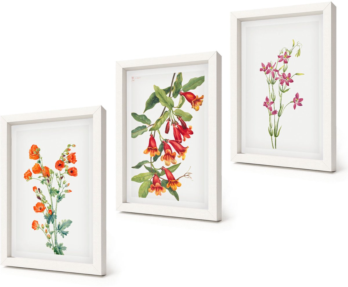 Coloray 3-Delige Schilderij Set - Vintage retro bloemenschilderij - 20x30 - Muurdecoratie - Wanddecoratie - Slaapkamer - Stijlvolle Muurdecoratie