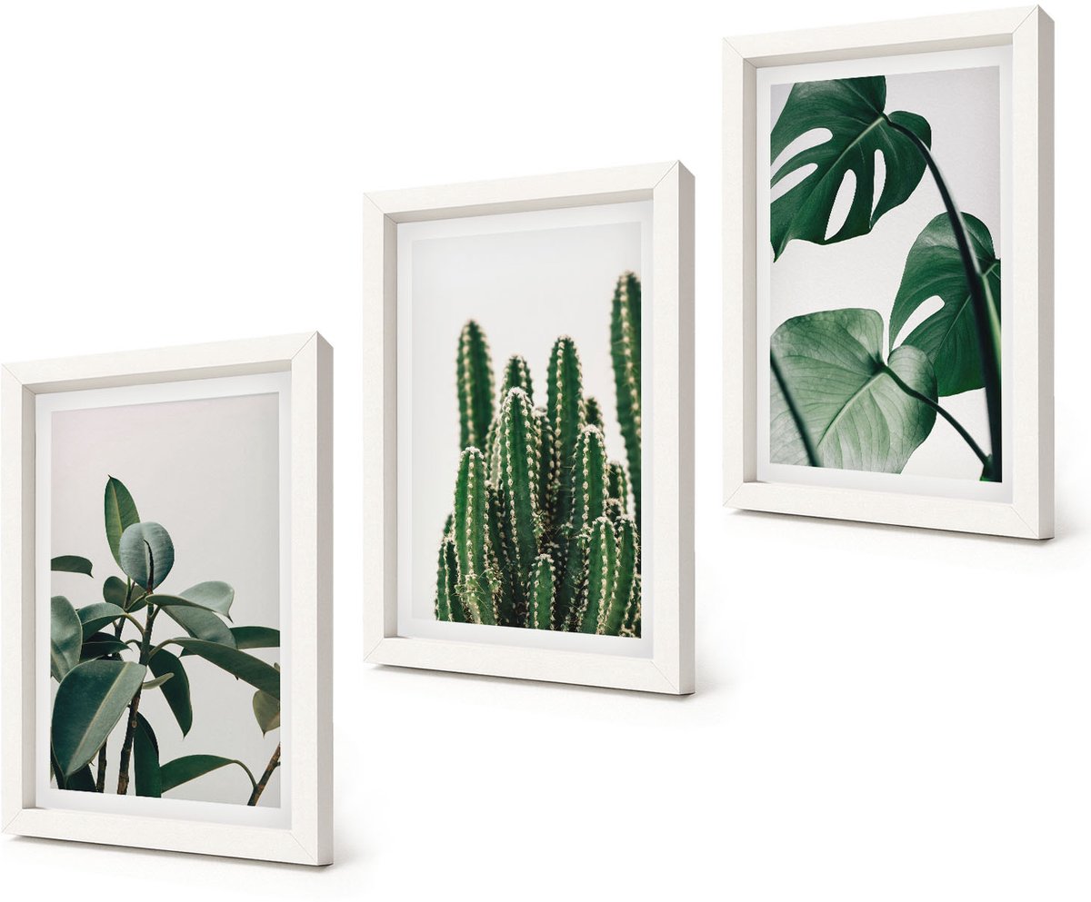 Coloray 3-Delige Schilderij Set - Tropische kamerplanten met esthetische bladeren - 20x30 - Stijlvolle Muurdecoratie - Kantoor - Moderne Wanddecoratie
