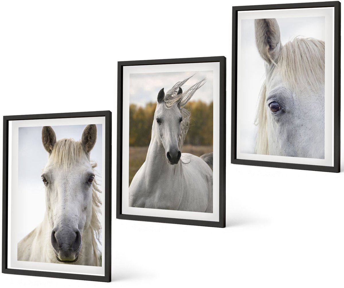 Coloray 3-Delige Schilderij Set - Witte Paarden In Verschillende Houdingen Tegen Een Natuurlijke Achtergrond. - 40 x 60 cm - Muurdecoratie - Interieur Decoratie - Stijlvolle Muurdecoratie