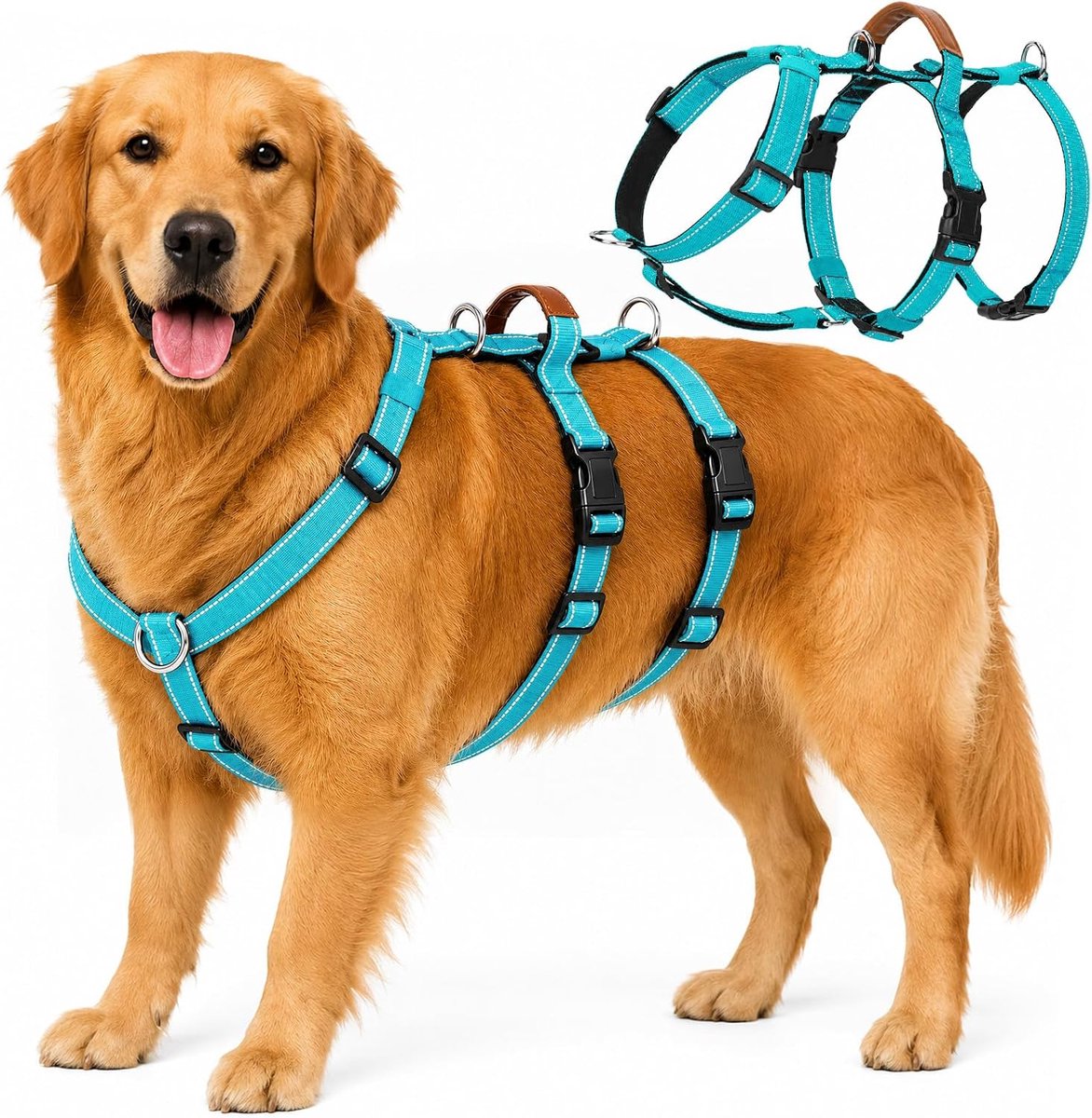 Veiligheidsharnas voor middelgrote en grote honden (turquoise, L) - ShopVlot