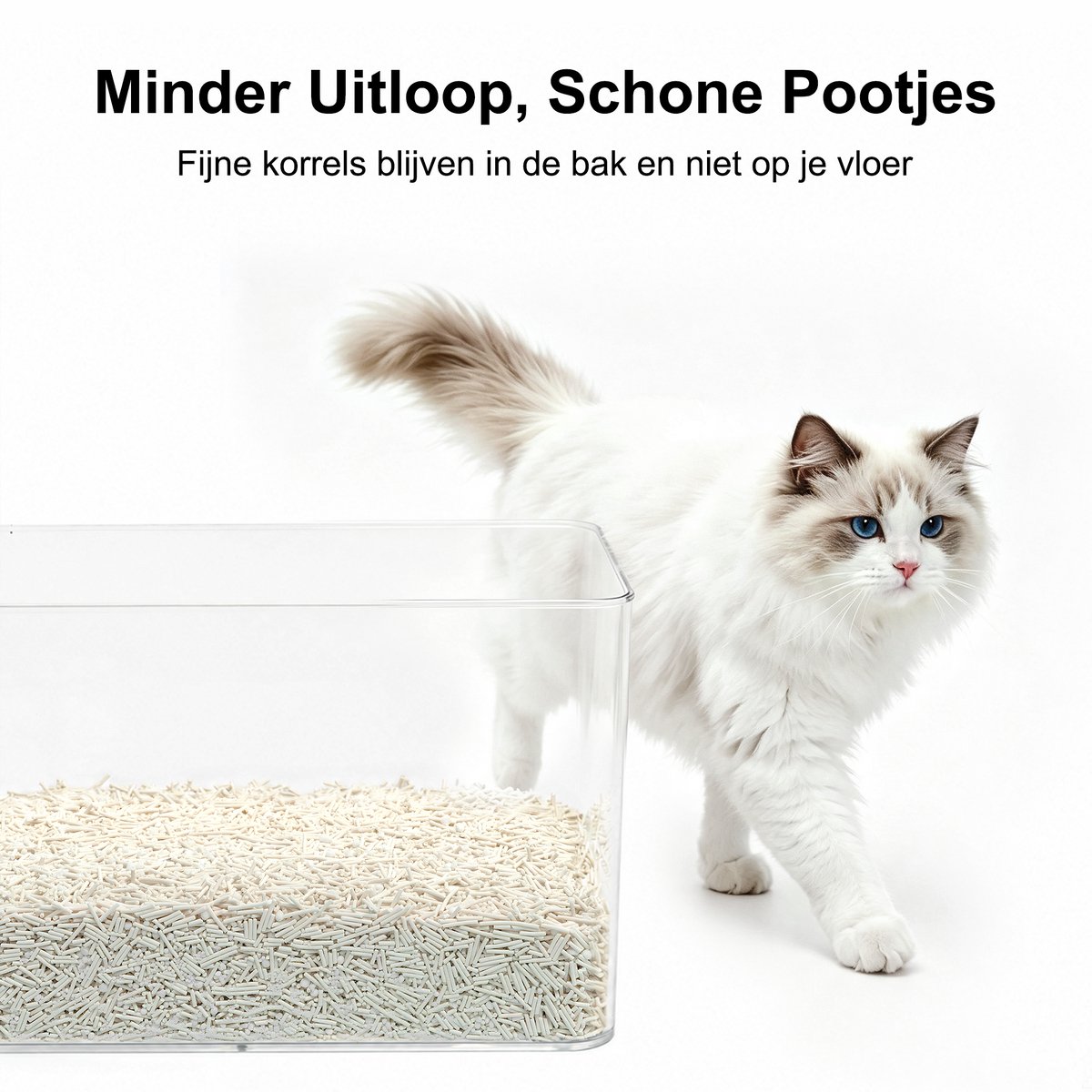 Photonspace Photonspace Tofu Kattenbakvulling - afbeelding 4
