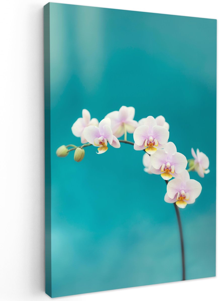 Famanu – Canvas schilderij voor kamerdecoratie, ideaal voor woonkamer en slaapkamer, stijlvolle wanddecoratie
