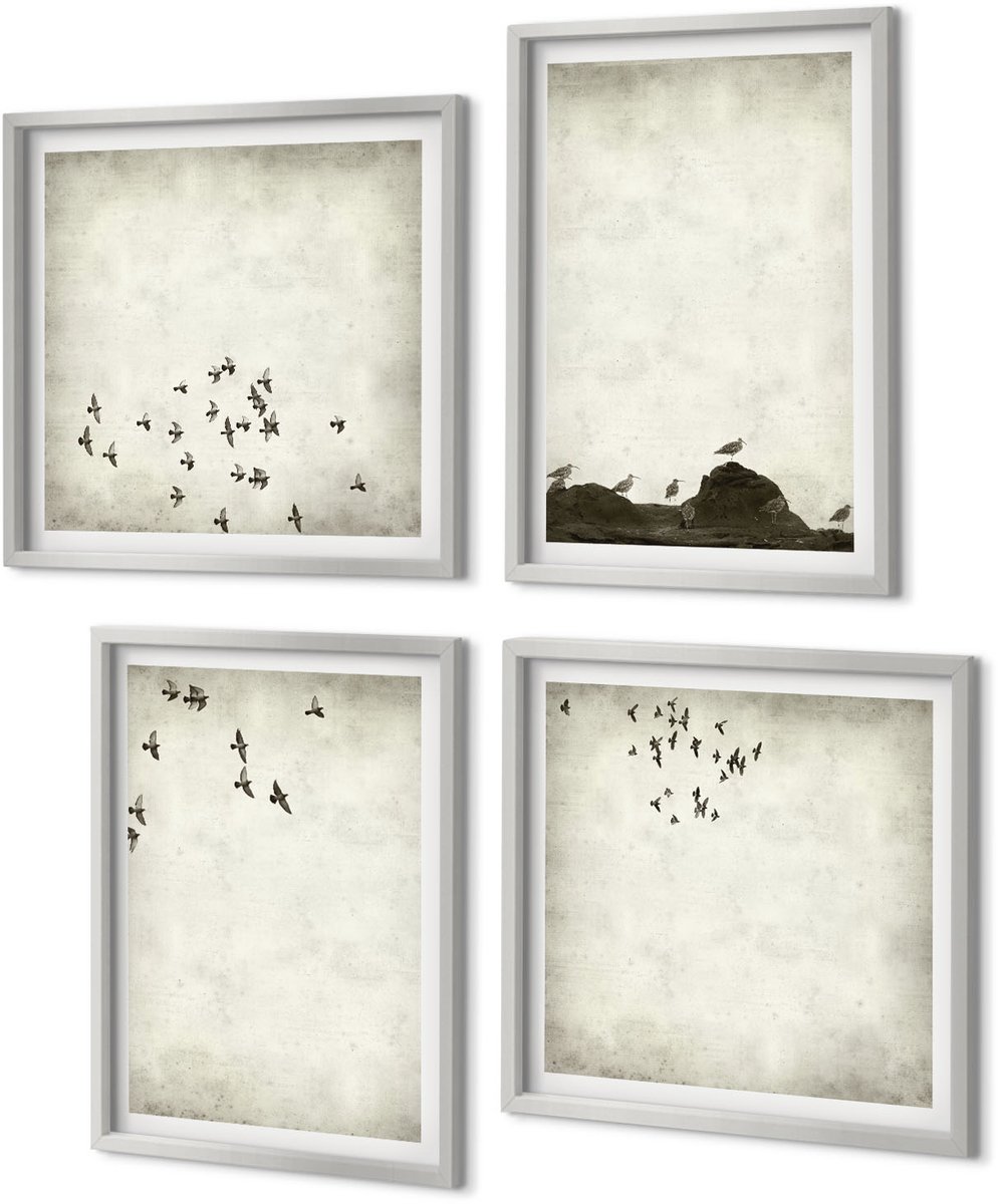 Coloray 4-Delige Schilderij Set - Minimalistisch schilderij van vliegende vogels - 40 x 40 cm en 40 x 60 cm - Moderne Wanddecoratie - Slaapkamer - Woonkamer Decoratie