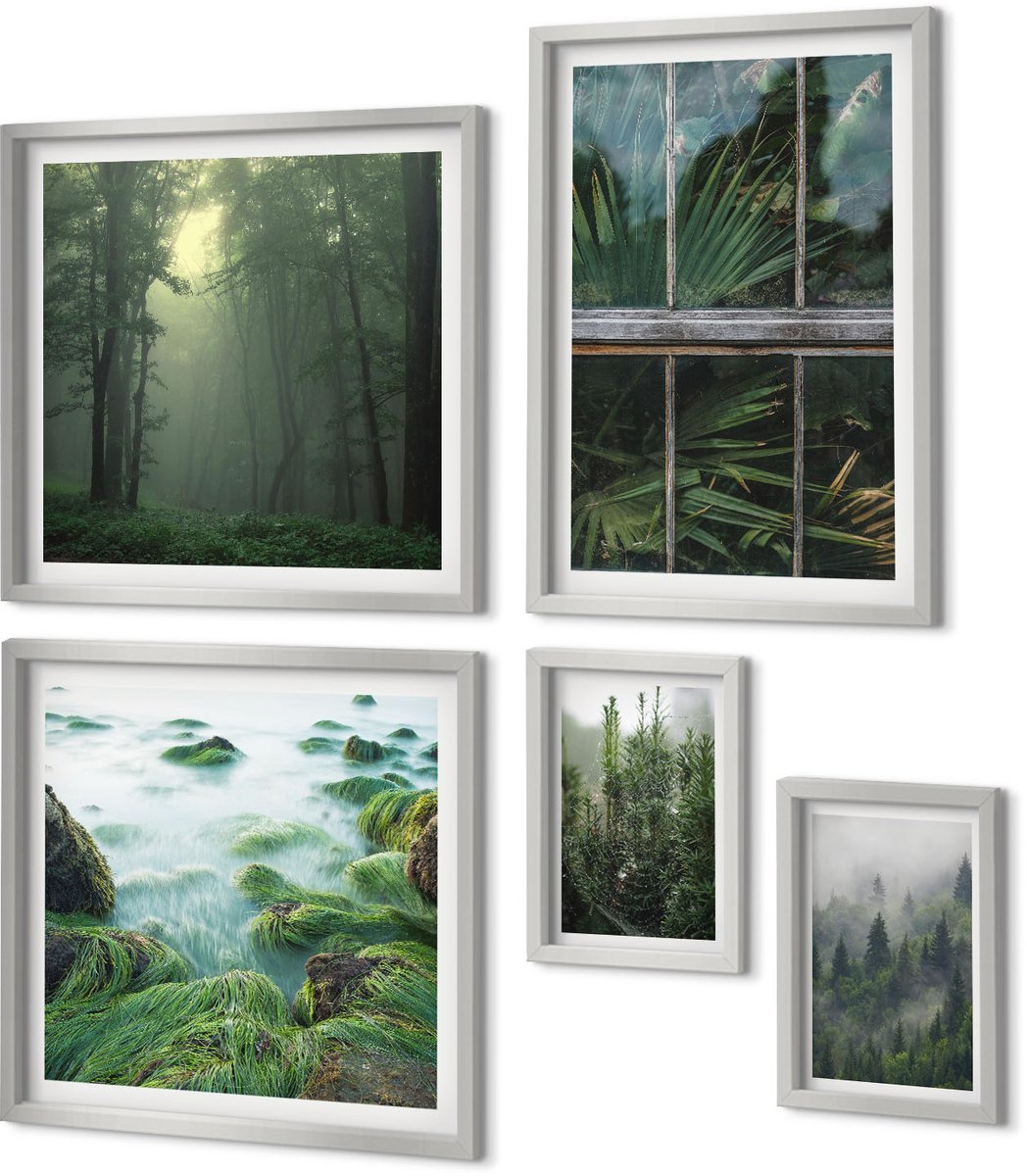 Coloray 5-Delige Schilderij Set - Close-Ups Van Planten, Bladeren En Vetplanten - 20 x 30 cm - Wanddecoratie - Muurdecoratie - Moderne Interieurdecoratie - Decoratieve Schilderijen