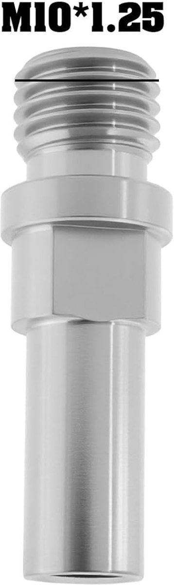 SnelShoppen - 2 Stuks Fiets Titanium Ti Rempaal M10 x 1.25mm Fiets Schroeven voor Racefiets Mountainbike Zilver - Lichtgewicht en Duurzaam