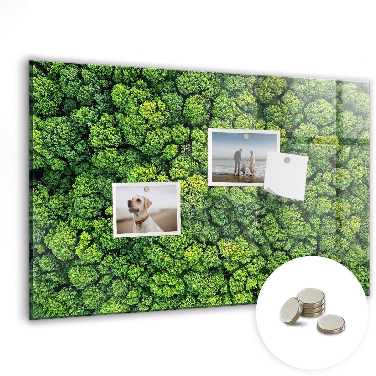 Coloray Glazen Magneetbord - Magnetisch Bord Bos vanuit vogelperspectief - 60x40 cm - Groente Magneetbord - Magnetic Board - Woonkamer Decoratie