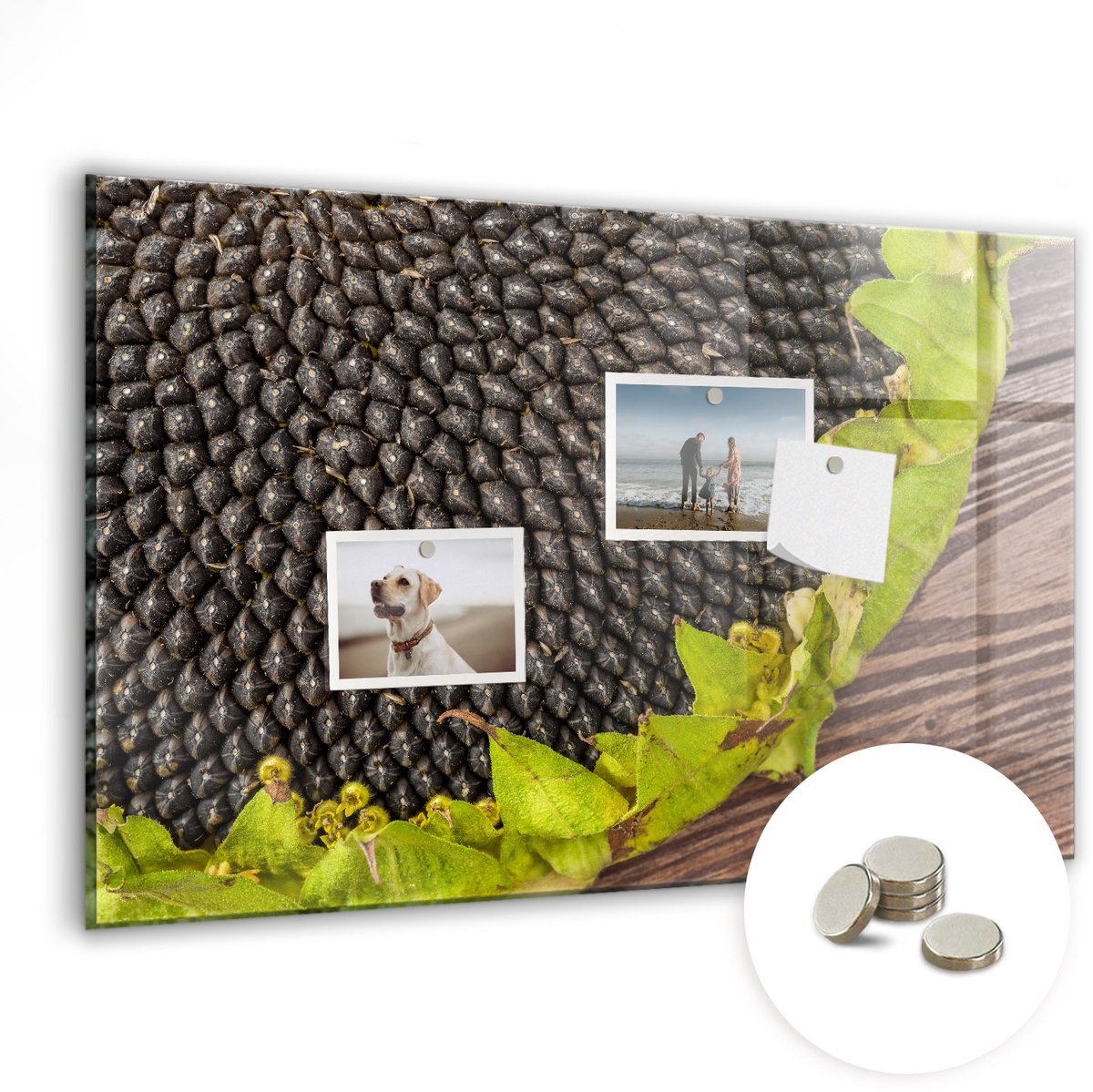 Coloray Glazen Magneetbord - Magnetisch Bord Zonnebloem - 60x40 cm - Veelkleurig Magneetbord - Magnetic Board - Woonkamer Decoratie