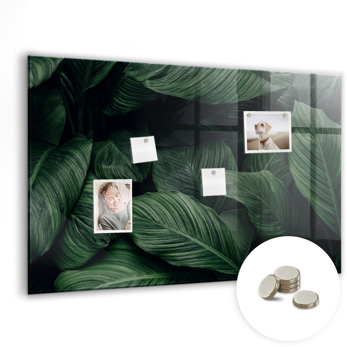 Coloray Glazen Magneetbord - Magnetisch Bord Glas wijn - 90x60 cm - Groente Magneetbord - Magnetic Board - Keuken Decoratie
