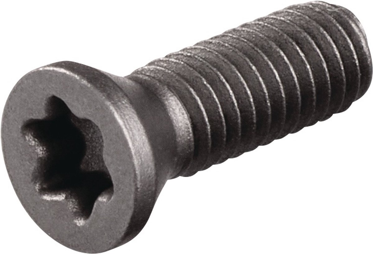 Spannschroef US3510 Gr.T15 TECWERK