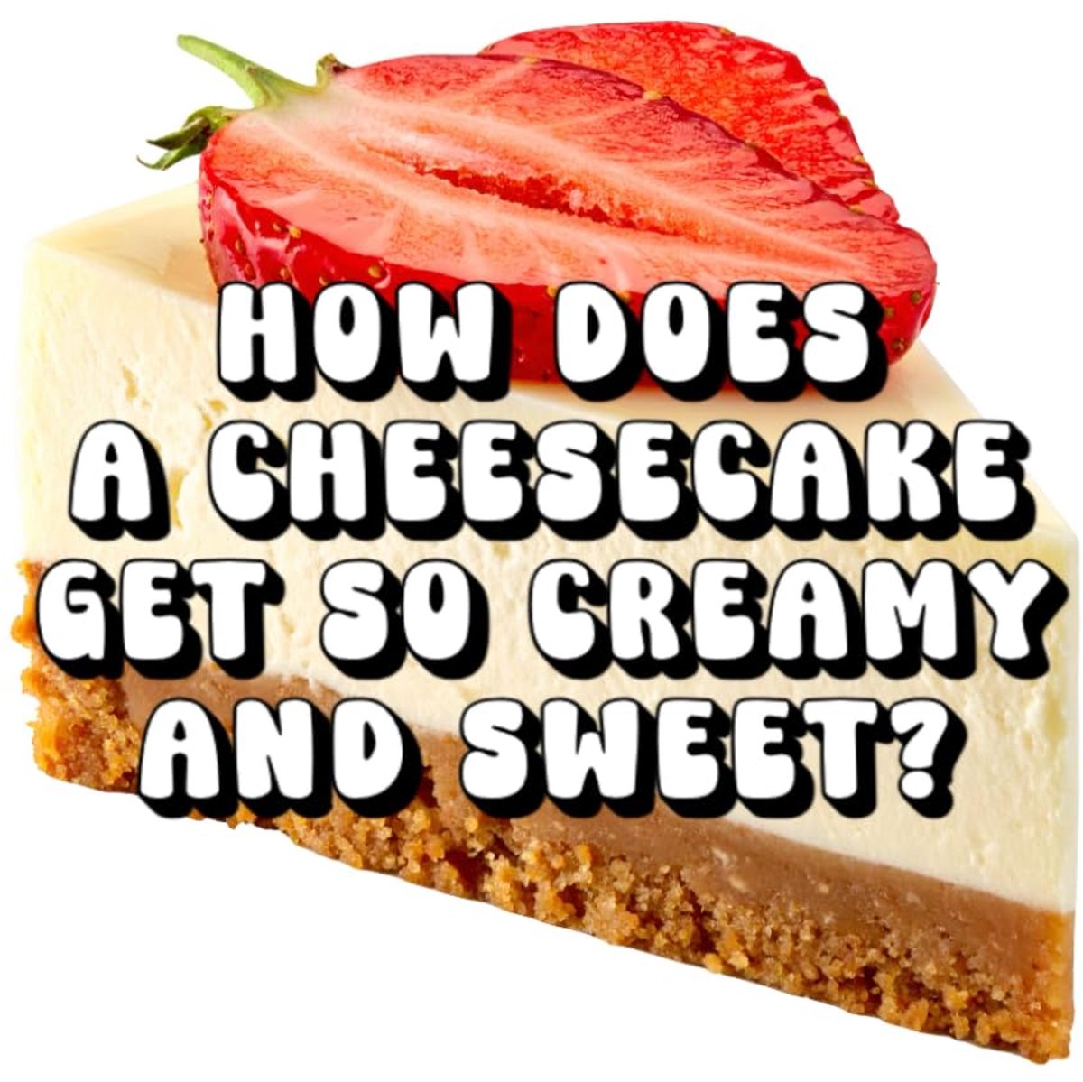 Does a Cheesecake Get So Creamy and Sweet?