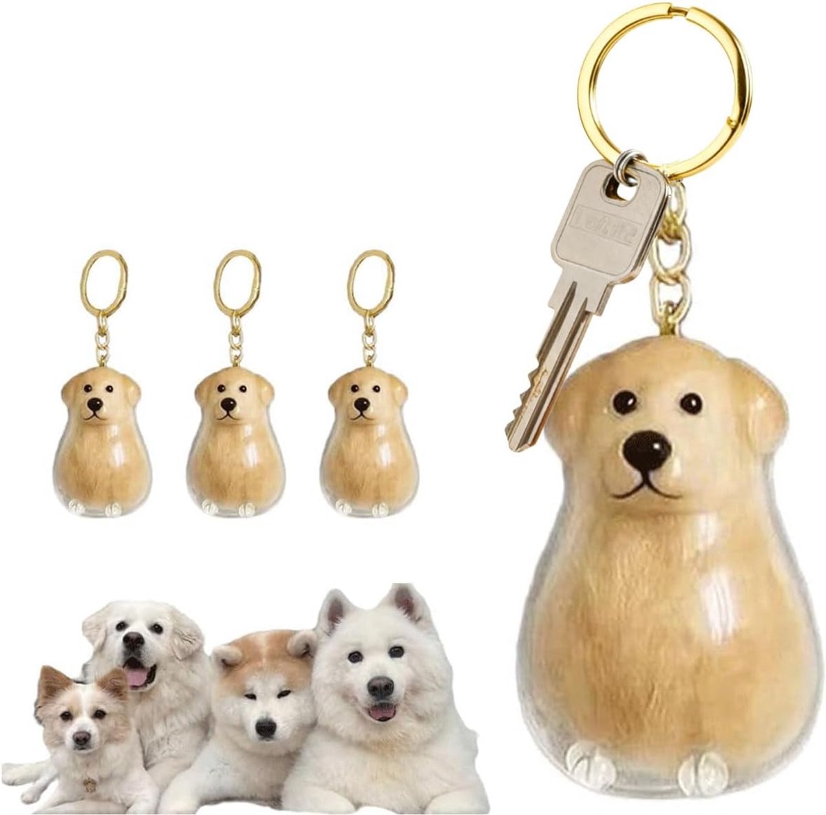 4 stuks sleutelhangers, dierenhaar-sleutelhanger, opbergdoos voor hondenhaar, sleutelhanger een herinneringscadeau om een hond te leren kennen