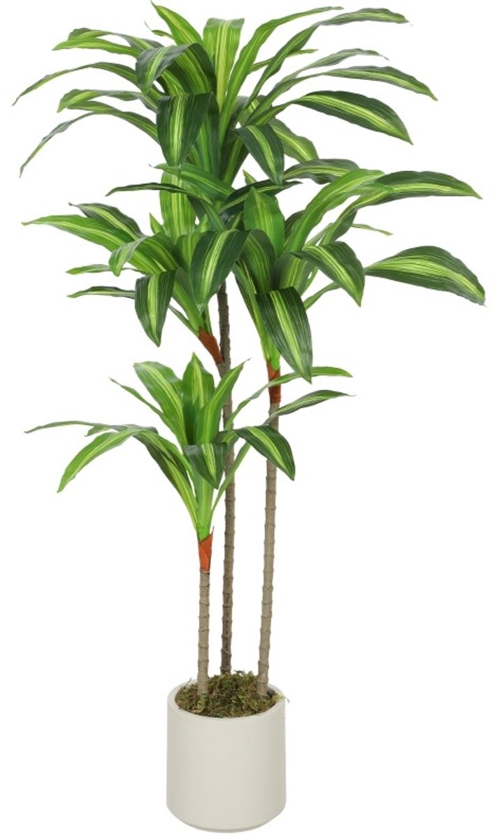 Plant Kunstmatige Dracaena 120 Cm Met Biegsame Stammen En Wit Plantenpot Voor Woonkamer Slaapkamer En Kantoor