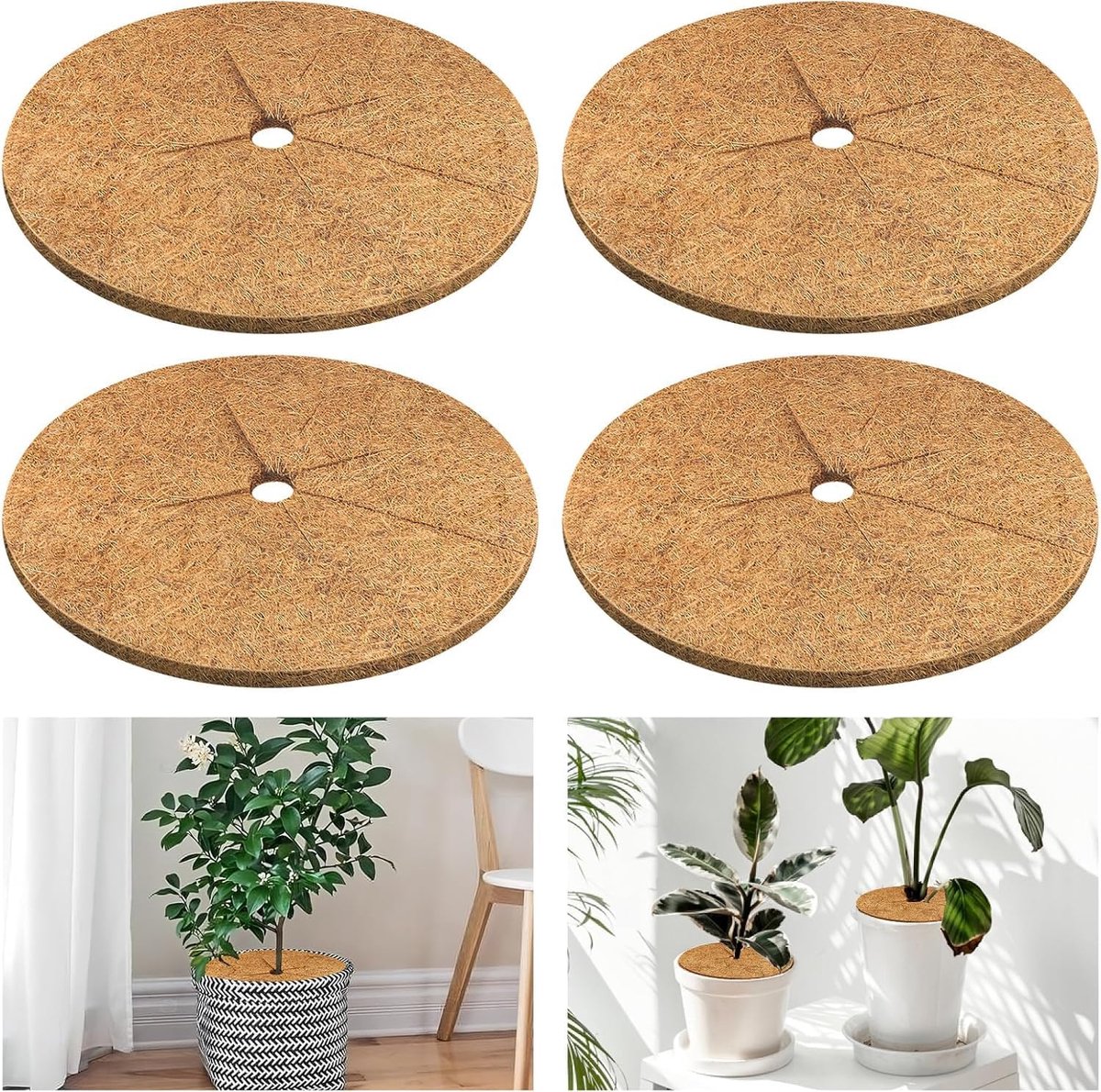 Coconut mulch disc 20 cm - kokosvezelmat - winterbescherming - duurzame plantbescherming - ShopVlot
