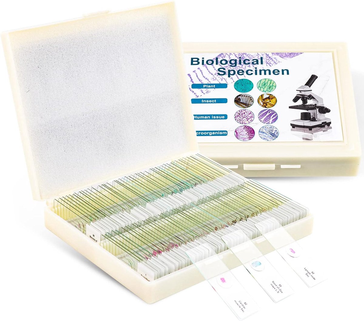 Microscoop slides 100 stuks - voorbereid - hoogwaardige optische glas - ideaal voor educatieve doeleinden - ShopVlot
