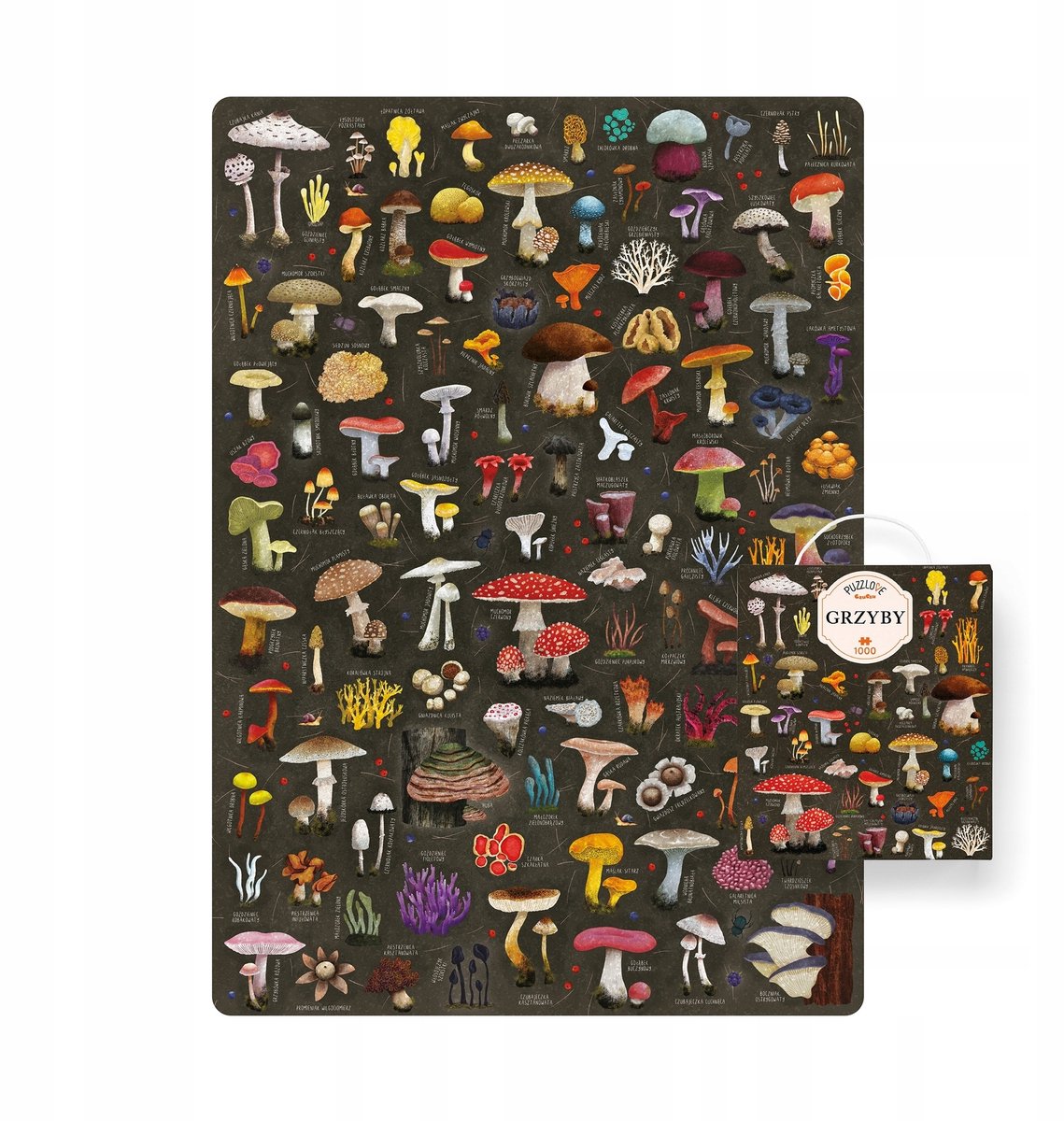Educatieve Puzzel 1000 Stukjes - Bosvruchten en Paddenstoelen