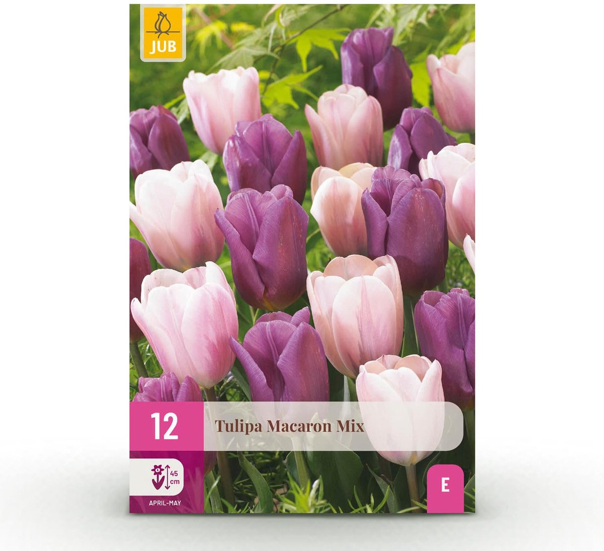Bloembollen - Tulp Macron mix - Diversen Kleuren - 12 stuks - Bolmaat 11/12 - XXL Pack