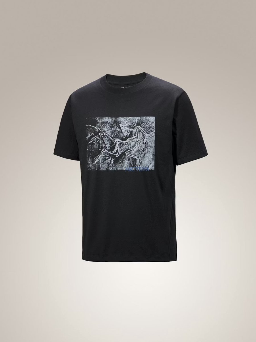 Arc’teryx Kragg Cotton Lithographica SS L Lt Moondrop