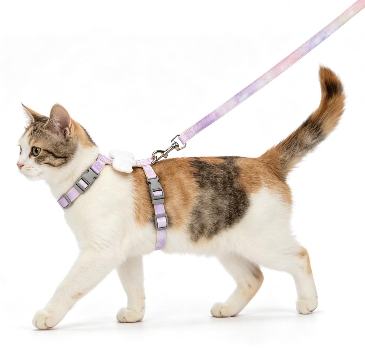 Dailygoods - Kattentuigje met Riem - Verstelbaar met Pluche Engelenvleugels