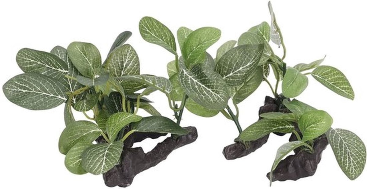 Aquarium Planten Decoraties - Kunstplanten voor Aquaria - Natuurlijke uitstraling - 2 Stuks - Stressverlagend voor Vissen - Geurloos