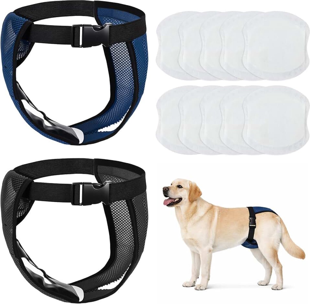 2 stuks teef loopsbroek, broekje voor honden, loopsheid, beschermbroek, wasbaar, hondenbroek, herbruikbaar, met 10 maandverband, verstelbare hondenluiers voor teven (XL)