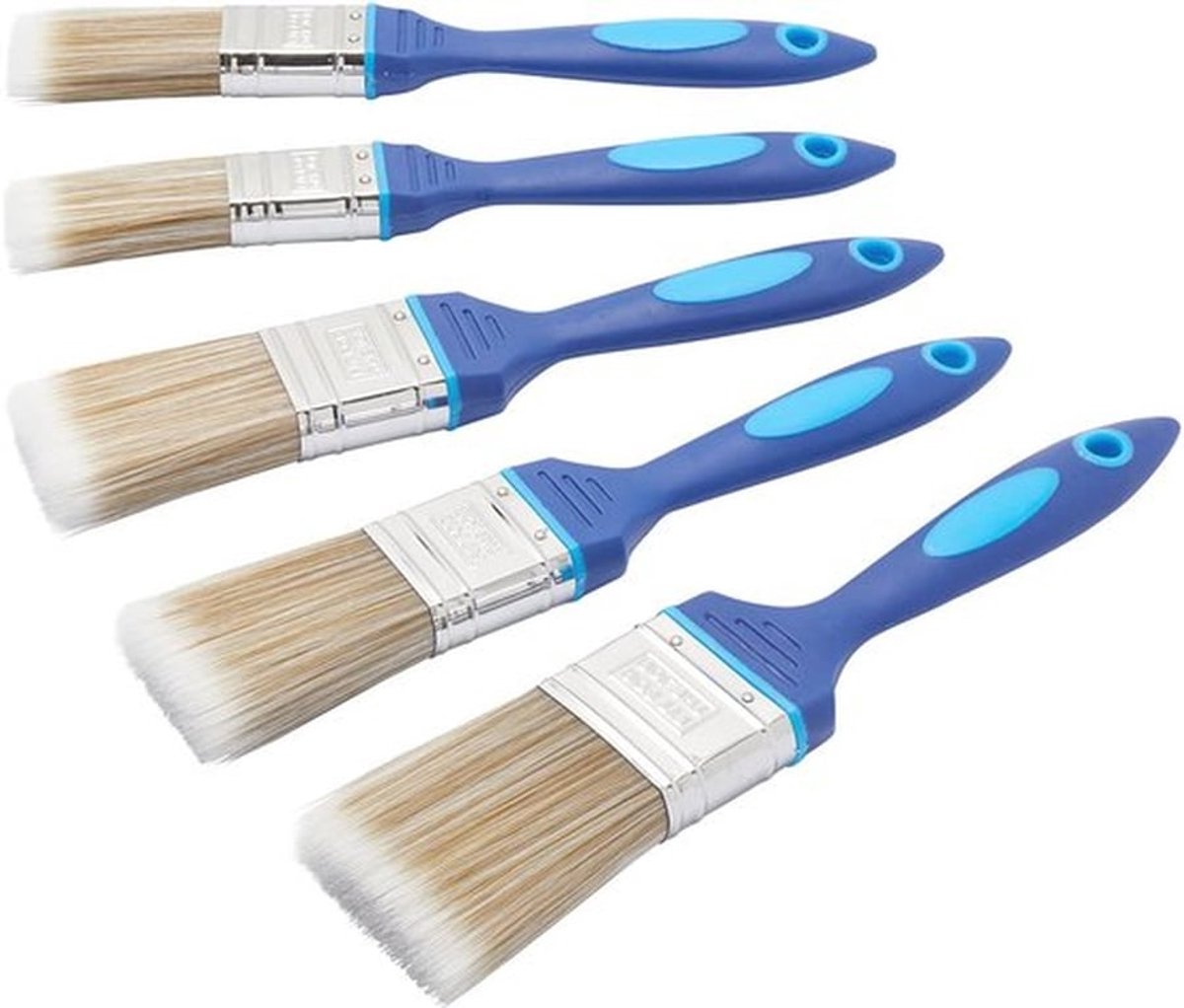 Zonder Verlies Verfkwast Set van 5 voor Emulsie, Glans en Matwerk op Muren, Plafonds, Meubels, Hout en Metaal