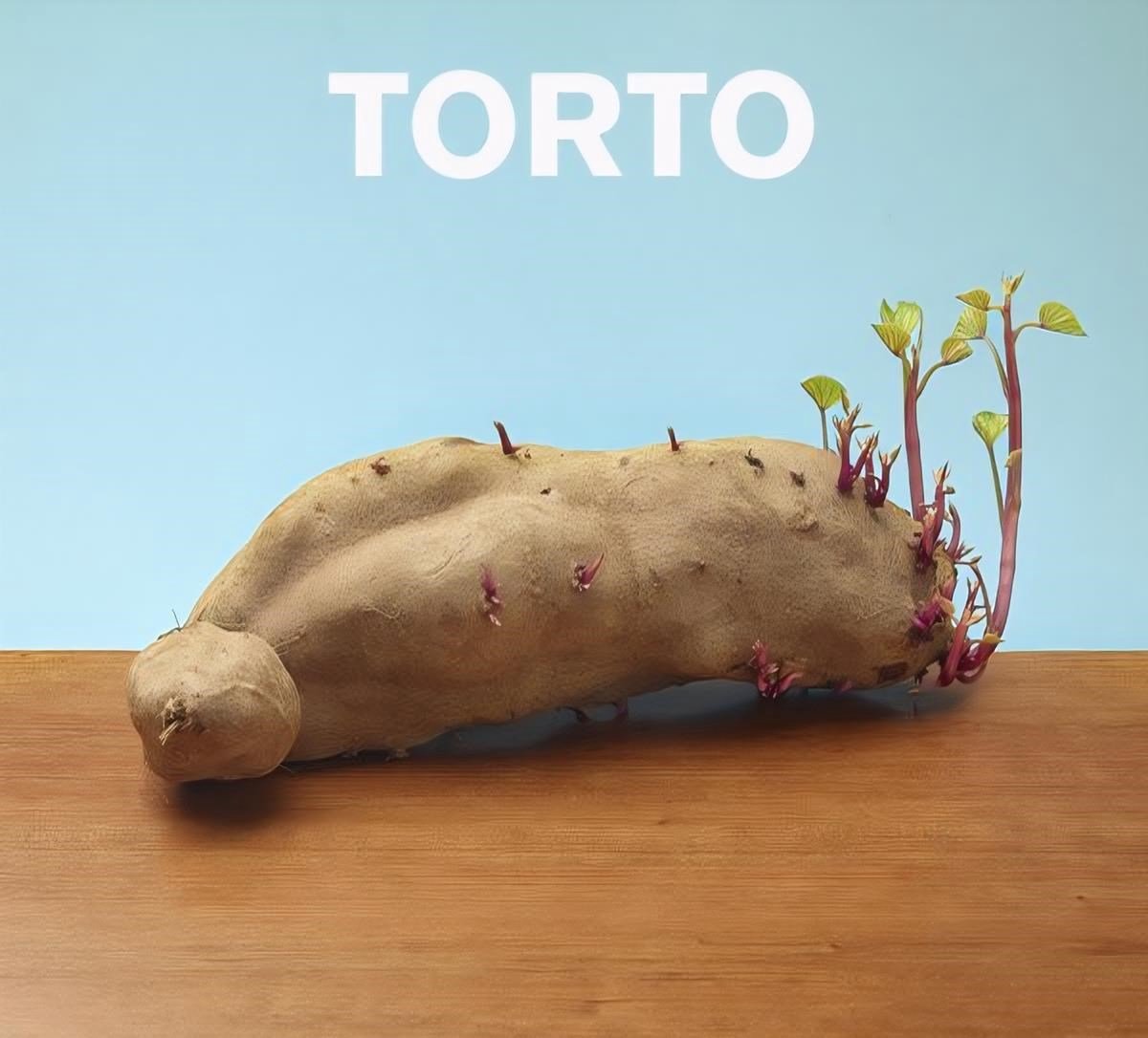 Torto - Torto (CD)