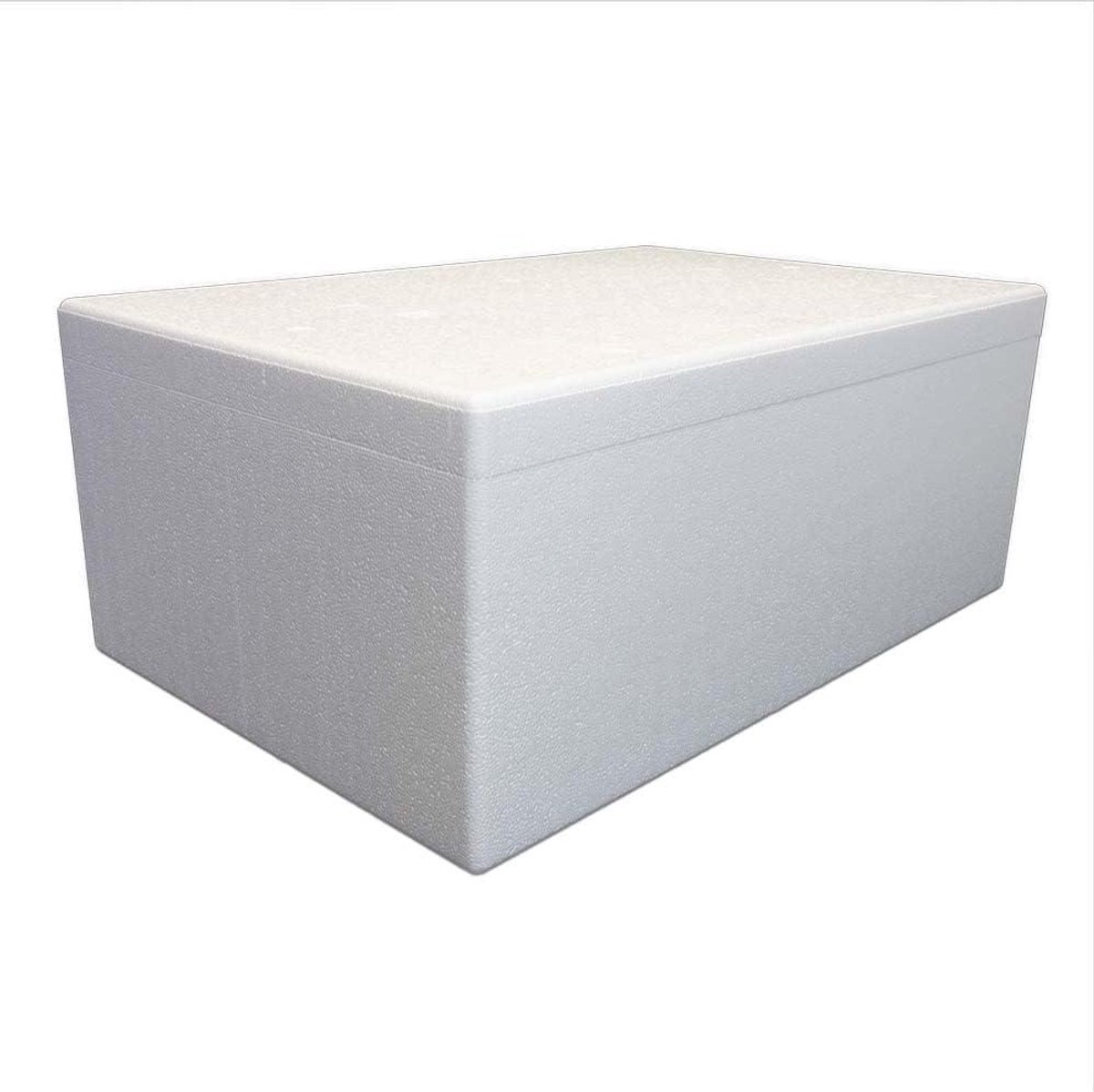 Thermobox - Isolatiebox Piepschuim - Temperatuur Behoud - Extra Dikke Wand - 66 Liter - Wit