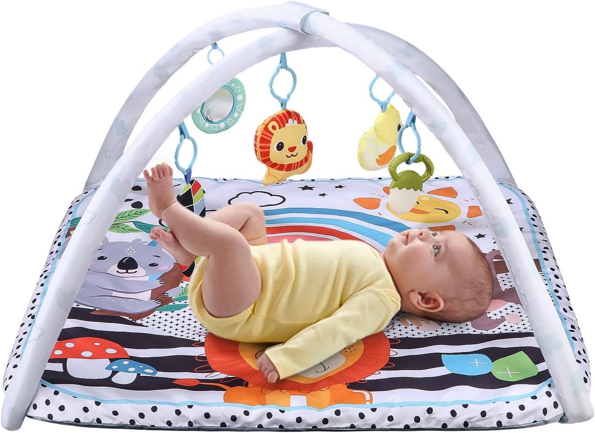 babyspeelgoed 0-6 maanden, babymat baby, speelboog, babygym, verstelbare boog, cognitieve ontwikkeling