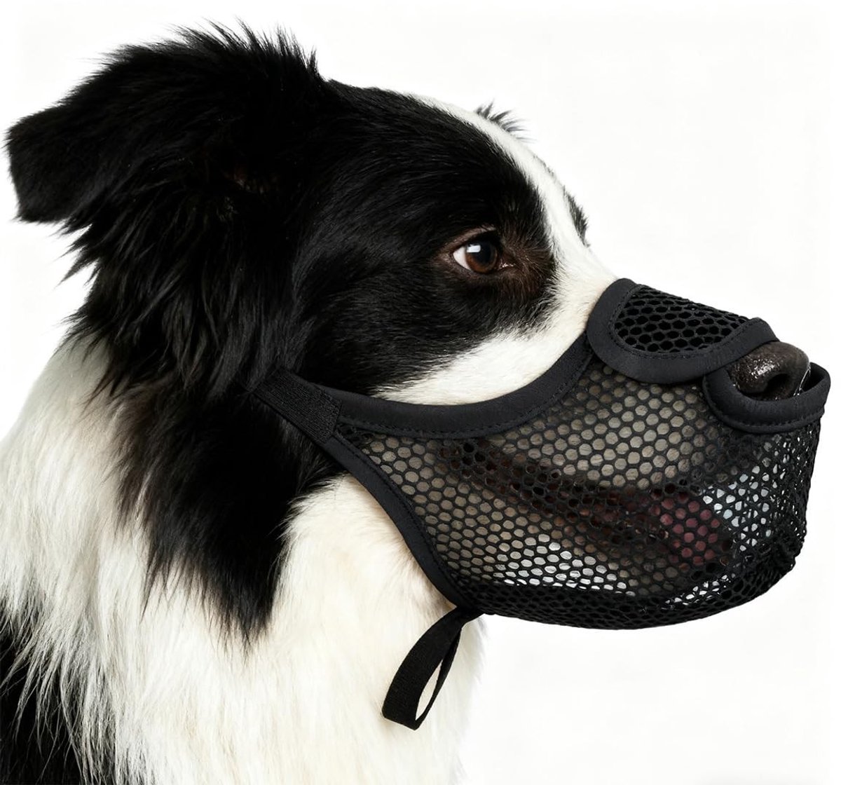 Dailygoods- Muilkorf voor honden - Verstelbare riem - Zacht ademend net - Duurzaam polyester - Muilkorf middelgrote/grote hond - Bescherming tegen kauwen - Hondenmuilkorf