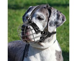 Dailygoods - Metalen Hondenmuilkorf met Leren Riemen, Pitbull, Duitse Dog, Rottweiler, Beveiligde Draadmand, Ademend, Verstelbare Pasvorm voor Grote Honden (Zwart)