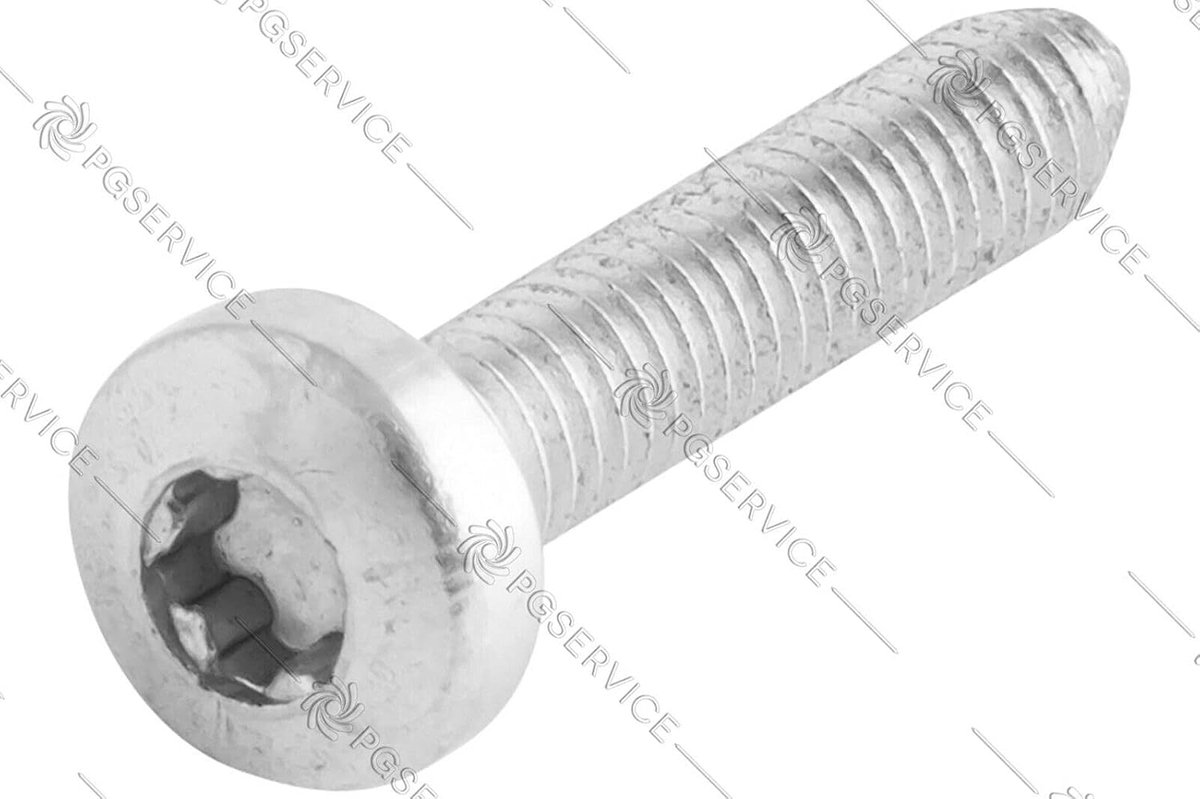 Schroef voor Stoomstrijkijzer - Vervangingsschroef Reparatieonderdeel - Strijkijzer Reparatie - Origineel Onderdeel - M4 x 21 mm - Zilverkleurig