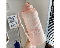 Sport Bidon - Waterfles - Hydratatie Onderweg - Met Ingebouwd Stro - 3800ml - Roze