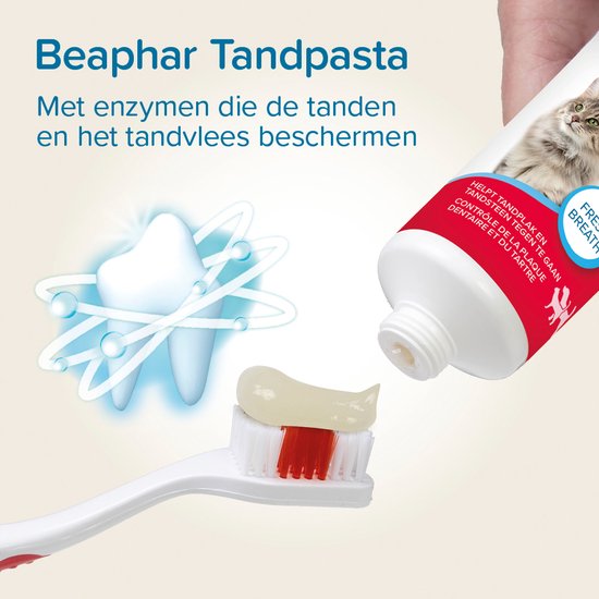 Beaphar Tandpasta met enzymen. Illustratie van een tand met deeltjes en een tandenborstel met pasta. Close-up van een kat en tube.