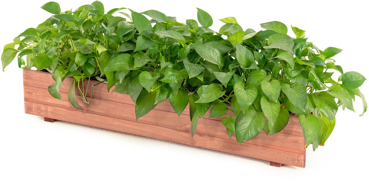 SureDeal® - Tuinier - Verhoogd Bloembed Hout - Tuin Gazon Terras - 91,5x18x16 cm - Bruin