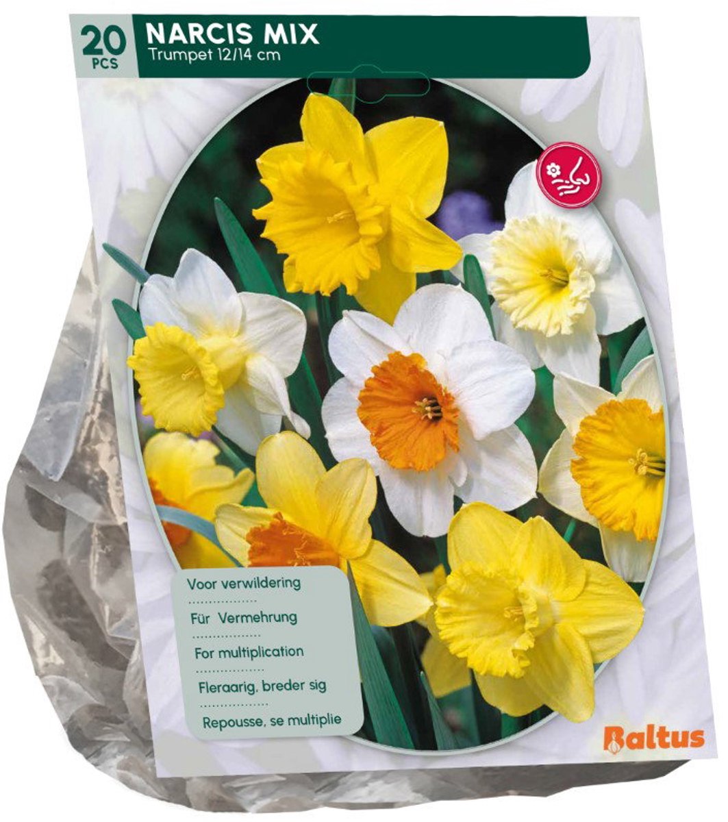 Narcis Trompet mix 15 stuks bloembollen Baltus
