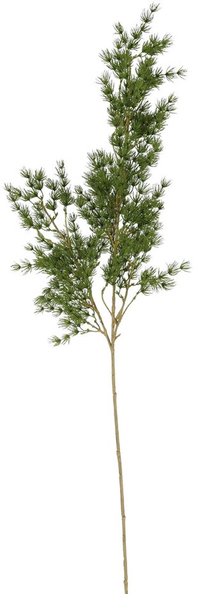 Countryfield Kunstblad Asparagus L groen