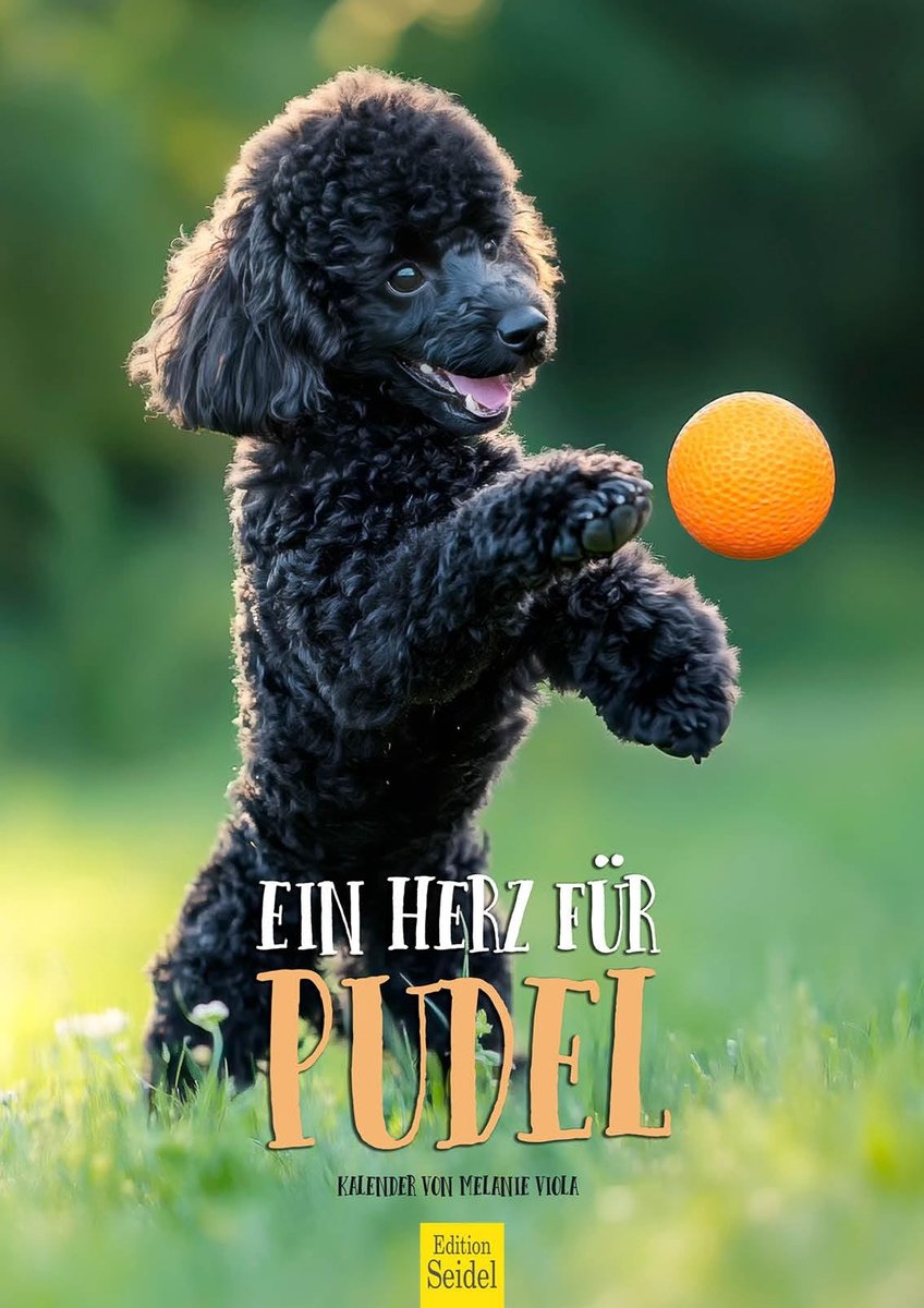 Wandkalender voor Poedel met Hart - Formaat A3