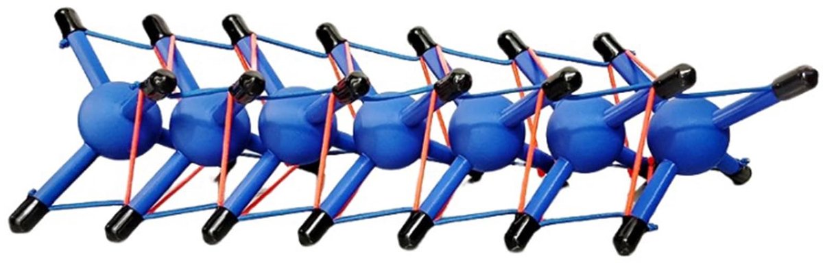 Anatomisch Model voor Menselijke Fascia - Blauw