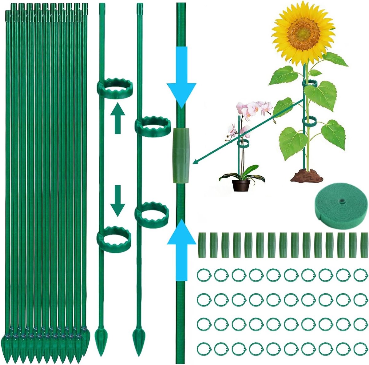 Ondersteuning voor klimplanten met 20 plantstokken, 40 plantclips, 1 m plantbanden en 15 connectors voor tomaten, erwten, komkommers en bloemen