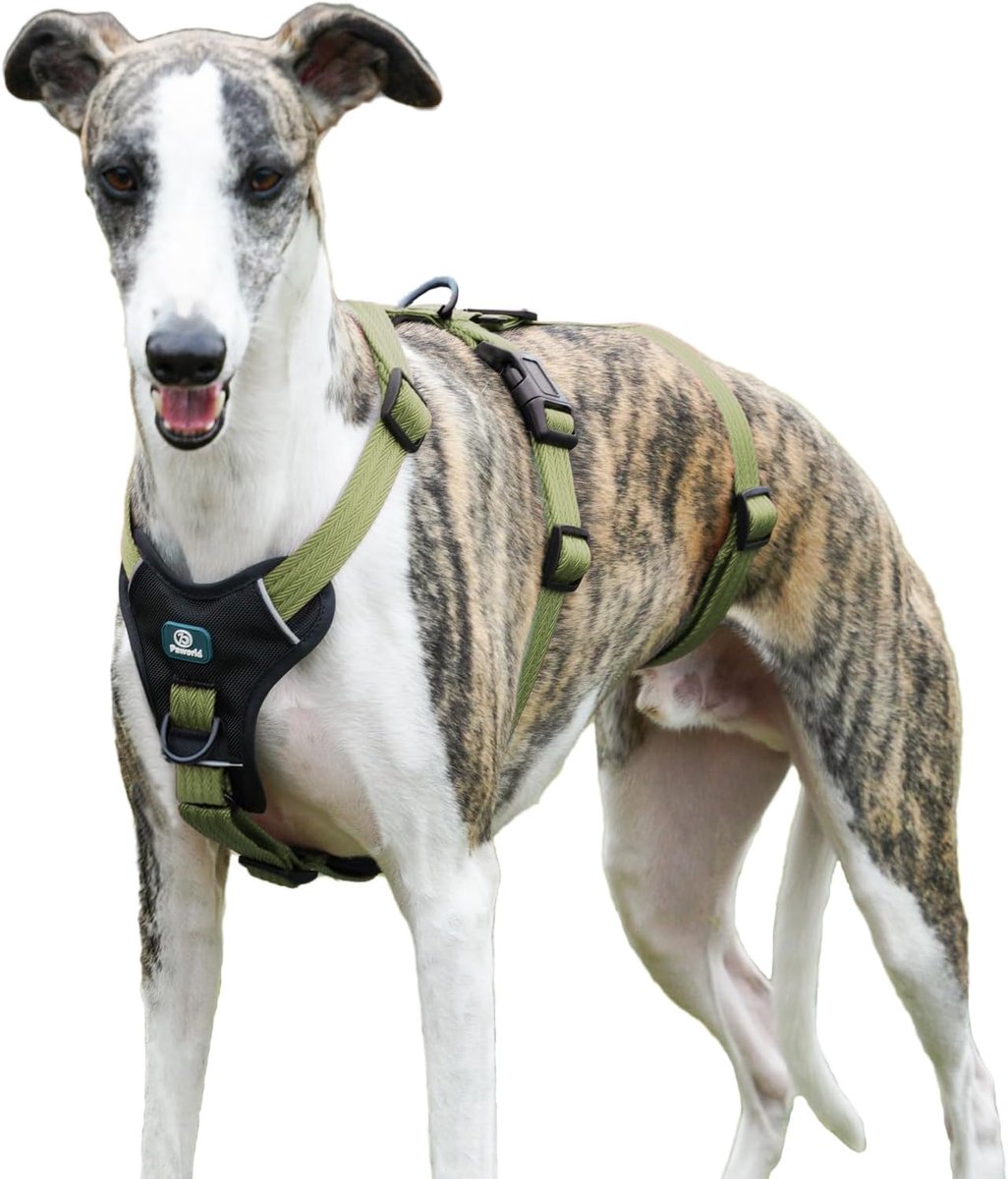 SnelShoppen - Escape Proof Hondentuig Maat Medium, Anti-Pull Hondentuig, Verstelbaar, Duurzaam, Ademend Dierenvest voor Grote Honden, Groen, Voor Buit