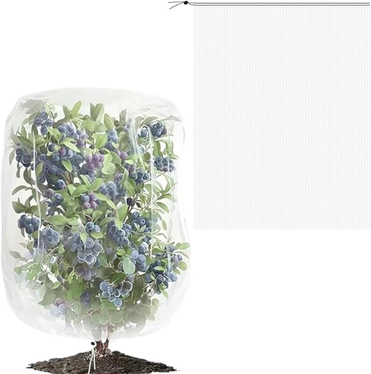 SnelShoppen - Plant Protection Net 1.8m x 1.8m - Insectenwerend Net voor Tuin, Groenten, Fruitbomen, Fijn Gaas voor Tuinplanten en Groentebedden