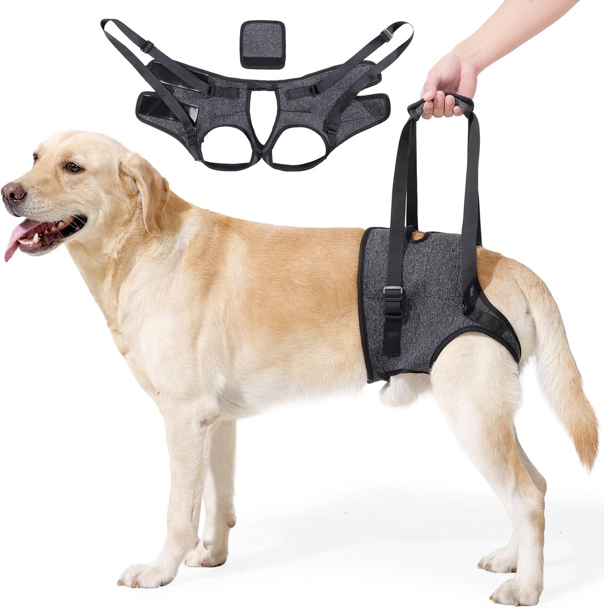 SnelShoppen - Dog Lifting Harness voor Achterpoten - Verstelbare Draagriem voor Gewonde, Gehandicapte en Oude Honden, Zacht Gevoerde Beensteun voor Ho