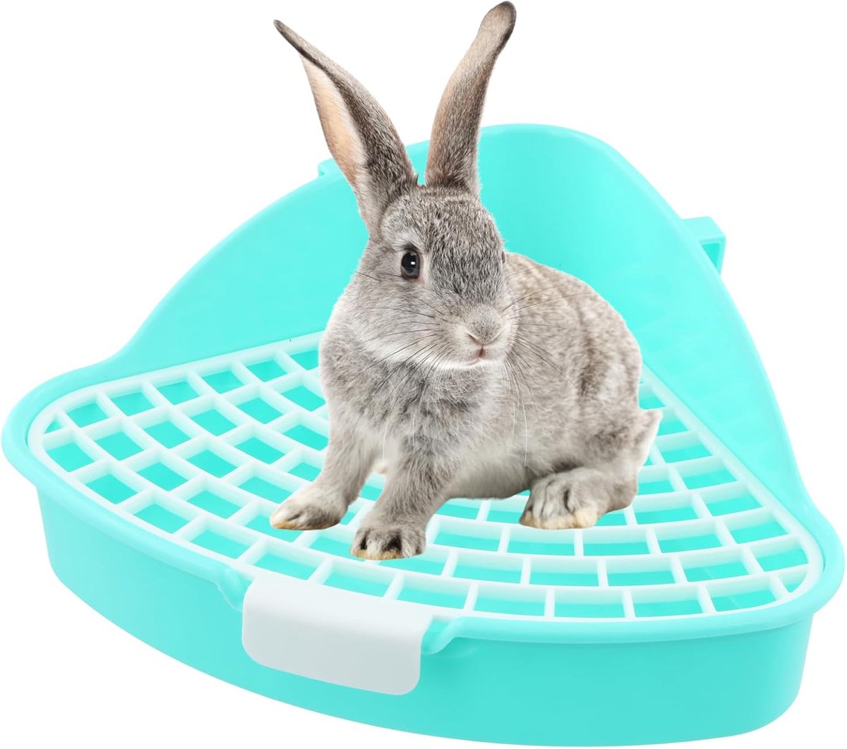 SnelShoppen - Hoek Toilet voor Kleine Dieren, Triangel Litter Box voor Konijnen, Cavia's, Ferrets, Hamsters en Chinchilla's - Blauw - Potty Trainer me