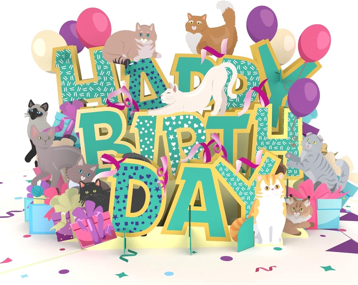 SnelShoppen - 3D Verjaardagskaart voor Katten - Pop-Up Kaart met Ballonnen en Confetti - Unieke Felicitatiekaart voor Verjaardag - Inclusief Notitieka