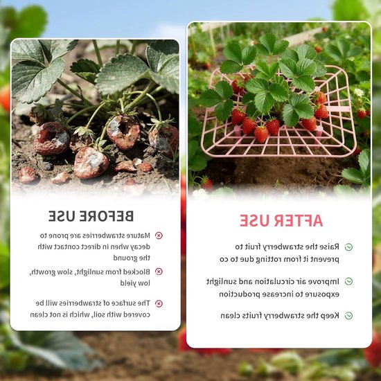 Stevige Aardbeiensteun met 4 Stabiliteitsbenen, Groeiraam voor Aardbeien, Voorkom Aardbeienrot, 12 Stuks (12) — afbeelding 4